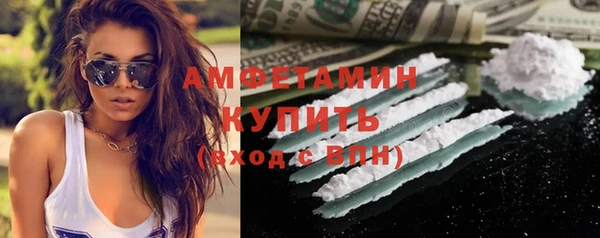 сатива Вязьма