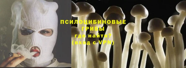 сатива Вязьма