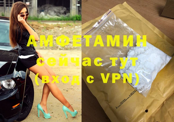 сатива Вязьма