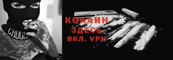 метадон Вяземский
