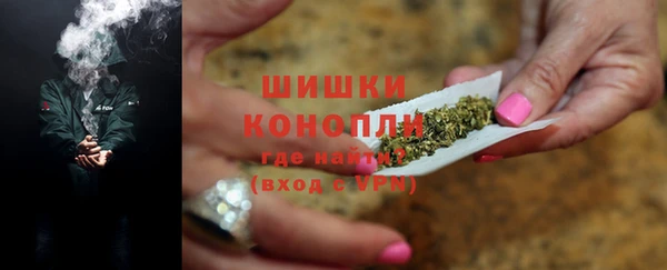 сатива Вязьма