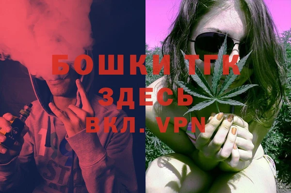сатива Вязьма