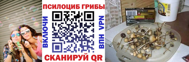 Псилоцибиновые грибы мухоморы  кракен маркетплейс  Астрахань 