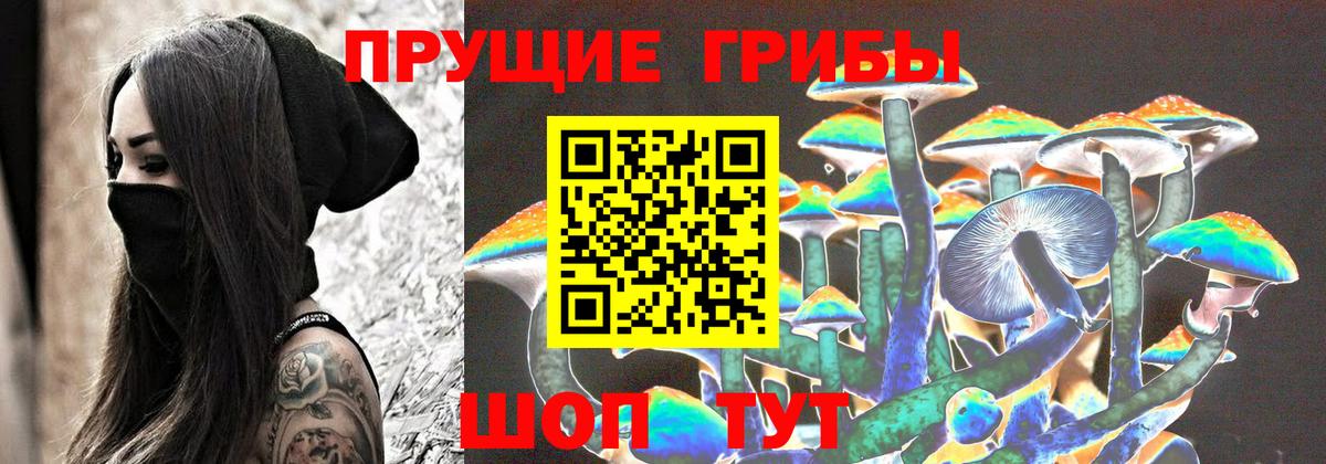 дарнет шоп  Галлюциногенные грибы MAGIC MUSHROOMS  Вход с VPN  Астрахань 