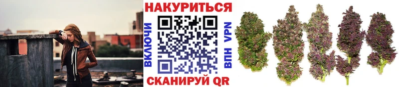 даркнет как зайти  Астрахань  Бошки Шишки гибрид 